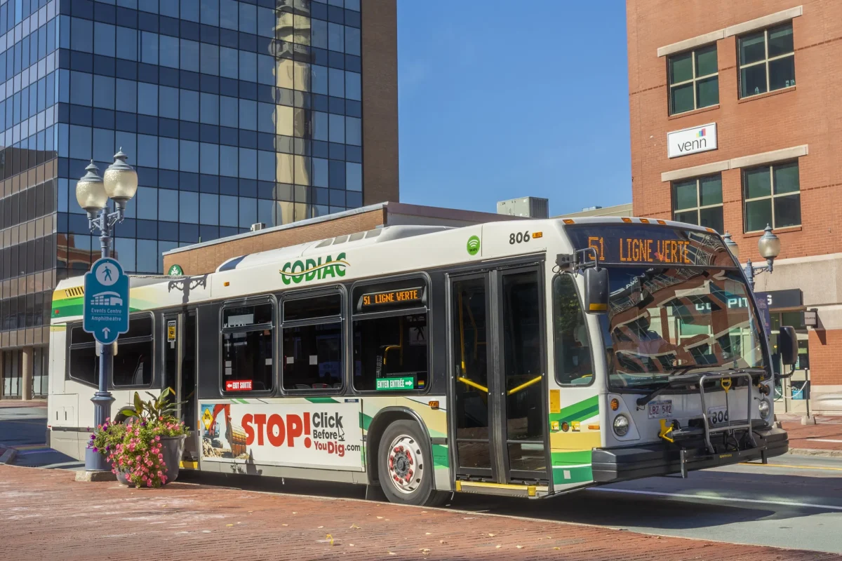 Codiac-Transpo-downtown Codiac-Transpo-downtown